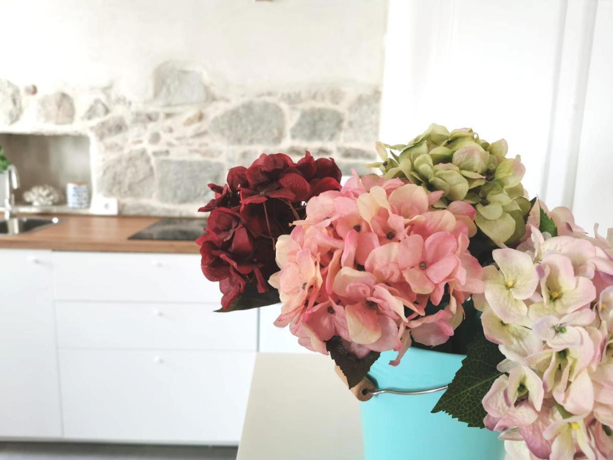 Guest house Guest House Maris 4*